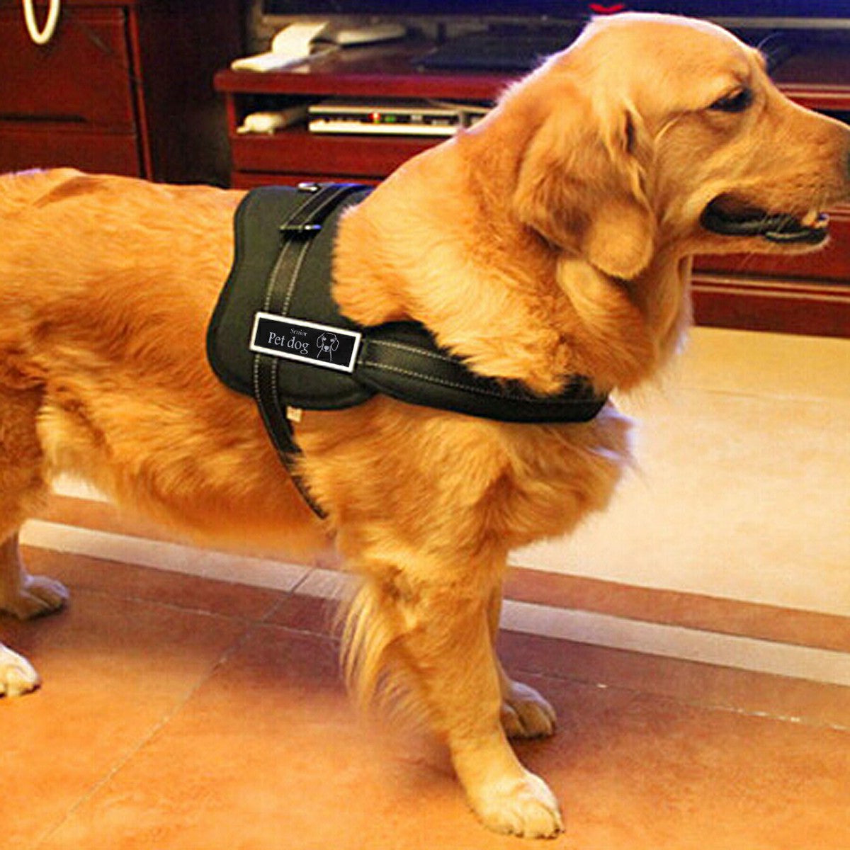 Adjustable Soft Vest Dog Harness-No Pull Control Harness