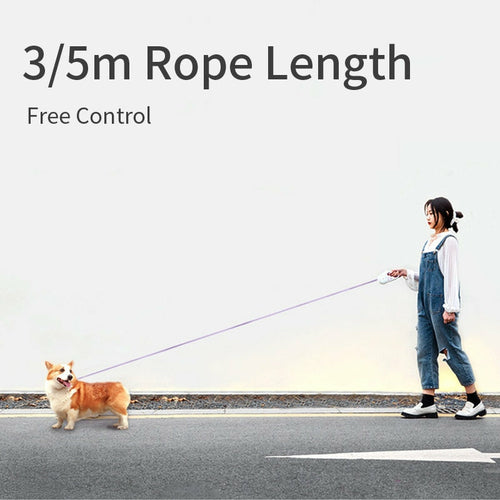 Automatic Retractable Dog Leash with LED